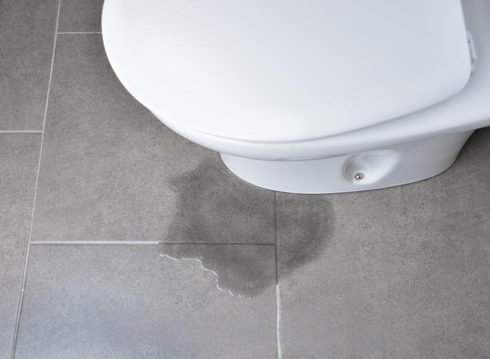 Leaking toilet in Houston